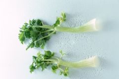芹菜對(duì)腎好嗎？吃芹菜對(duì)腎有什么影響？[多圖]