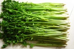 芹菜有減肥功效嗎？吃芹菜可以減肥嗎？[多圖]