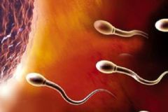 精子活力為零怎么回事？精子活力低該怎么辦？[圖]
