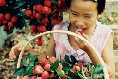 吃荔枝的好處和壞處？夏天怎么吃荔枝更好？[多圖]