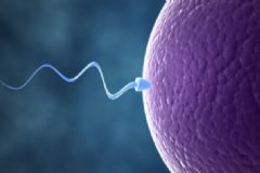 男人護精的方法有哪些？男人怎樣保護精子？[圖]