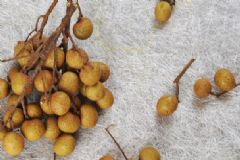 桂圓每天吃幾個(gè)最好？桂圓每天吃多少合適？[多圖]