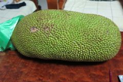 吃菠蘿蜜上火嗎？吃菠蘿蜜會(huì)上火嗎？[多圖]