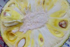菠蘿蜜粘手怎么洗？菠蘿蜜粘液怎么洗掉？[多圖]