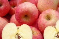 哪些食物具有排毒的作用？哪些食物有排毒的作用？[圖]