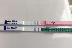 何時用早孕試紙最準(zhǔn)確？早孕試紙什么時候用最好？[圖]