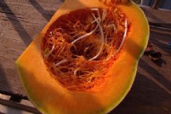 南瓜里面發(fā)芽了能吃嗎？南瓜發(fā)芽吃了會(huì)怎么樣？[多圖]