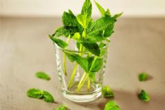 薄荷需要曬太陽(yáng)嗎？薄荷是喜陰還是喜陽(yáng)？[多圖]