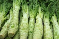 萵筍是熱性還是涼性？萵筍是酸性還是堿性？[多圖]