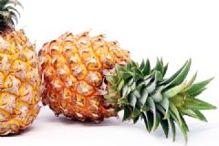 木瓜和菠蘿可以一起吃嗎？木瓜和菠蘿一起吃好不好？[多圖]