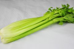 包菜能和芹菜一起炒嗎？包菜和芹菜能一起吃嗎？[多圖]