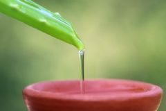 蘆薈面膜是免洗的嗎？蘆薈面膜可以不洗嗎？[圖]