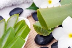蘆薈面膜可以祛斑嗎？蘆薈面膜有祛斑的功效嗎？[圖]