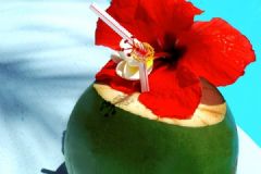 椰子里面為什么有水？椰子里面的水是什么顏色？[多圖]