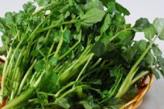 女人吃西洋菜的好處有哪些？西洋菜的營養(yǎng)價值高嗎？[圖]