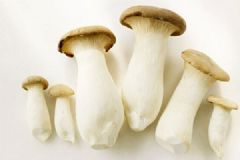 杏鮑菇有什么營(yíng)養(yǎng)？吃杏鮑菇有什么好處？[多圖]