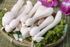 雞腿菇有什么營養(yǎng)？雞腿菇和杏鮑菇的區(qū)別[多圖]