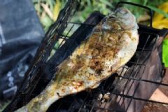 孕婦吃什么魚類好？哪些魚適合孕婦食用？[圖]