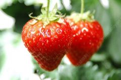 怎樣能讓自己看起來更加年輕？吃什么食物可以延緩衰老？[圖]