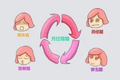 哪些方法可以科學(xué)計算排卵期？預(yù)測排卵期有什么方法？[圖]