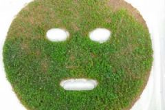 海藻面膜適合什么皮膚？海藻面膜適合什么膚質(zhì)？[圖]