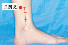 三陰交穴位在身體哪個(gè)部位？女性按摩三陰交有什么好處？[圖]