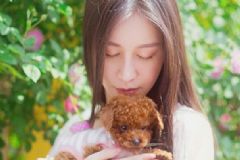 女性脫發(fā)的主要原因所以什么？女性脫發(fā)怎樣治療？[圖]