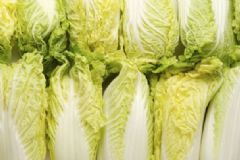 大白菜應(yīng)該如何吃才有減肥效果？大白菜什么時(shí)候吃可以減肥？[圖]