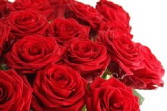 玫瑰花泡水可以敷臉嗎？玫瑰花茶可以敷臉嗎？[圖]