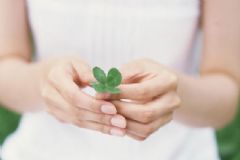 女性白帶異常對身體的危害有哪些？女性白帶異常該怎么調(diào)理？[圖]