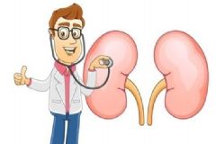 從哪些地方可以看出腎臟有??？年輕人怎樣保護腎臟健康[圖]