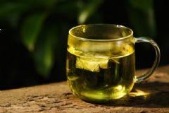藕葉泡茶真的可以減肥嗎？藕葉泡茶減肥有效果嗎？[圖]