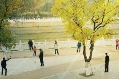 老年人該如何運(yùn)動(dòng)？適合老年人的運(yùn)動(dòng)有哪些？[圖]