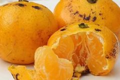 吃烤橘子真的可以治咳嗽嗎？有效止咳的食療方法有哪些？[圖]