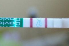 驗(yàn)孕試紙兩條線一定是懷孕嗎？驗(yàn)孕試紙兩條杠會不會有錯？[圖]