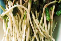 魚腥草兒童可以吃嗎？魚腥草茶小孩能喝嗎？[圖]