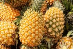 具有降血壓功效的食物有哪些？高血壓患者有什么飲食禁忌？[圖]