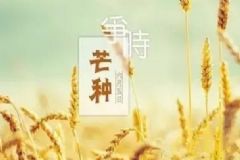 芒種時節(jié)怎樣養(yǎng)生保?。棵⒎N期間養(yǎng)生要點[圖]