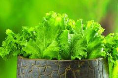 蔬菜中有亞硝酸鹽嗎？怎樣降低亞硝酸鹽的影響？[圖]