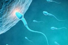 精子活力什么時候最強？什么時候精子活力最強？[圖]