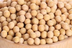 吃哪些食品利于乳房發(fā)育呢？健康綠色豐胸食物有哪些？[圖]