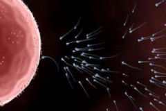 精子成活率多少正常？精子成活率低原因有哪些？[圖]