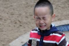 眼睛進(jìn)了小蟲子怎么辦？眼睛進(jìn)東西怎么拿出來？[圖]