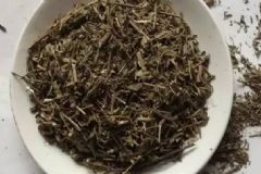 濕氣重喝什么好？濕氣重的食療法有哪些？[圖]