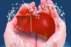 哪些習慣容易傷害肝臟健康？養(yǎng)肝有哪些方法？[圖]