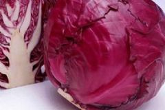 吃什么食物對骨質(zhì)增生有好處？哪些食物可以緩解骨質(zhì)增生？[圖]