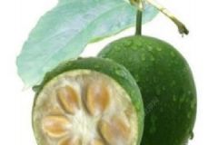 緩解干咳有哪些食療方？緩解干咳應(yīng)該吃什么好？[圖]