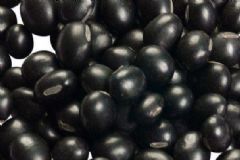 黑豆煎染發(fā)的做法是怎樣的？黑豆煎染發(fā)怎么做？[圖]
