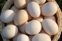 麥粒腫可以吃雞蛋嗎？麥粒腫能吃雞蛋嗎？[圖]