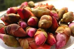 桃花茶經(jīng)期可以喝嗎？來(lái)月經(jīng)可以喝桃花茶嗎？[圖]